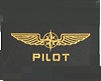 PILOT